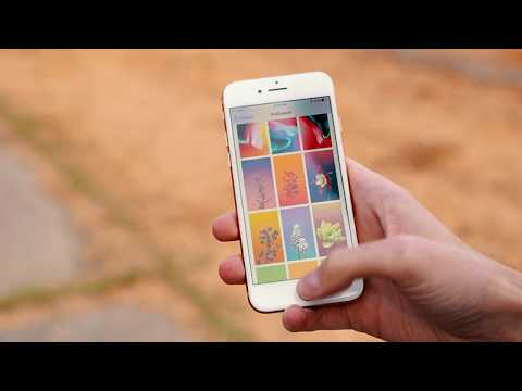 iPhone 8 და 8+  ვიდეო მიმოხილვა (video review)